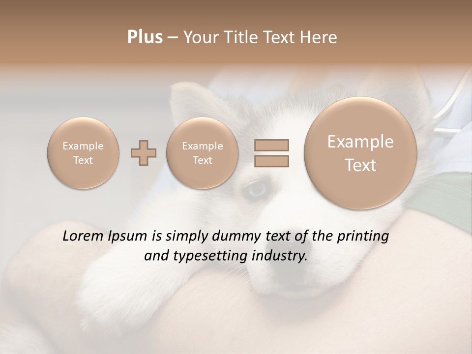 Detail Rate Health PowerPoint Template