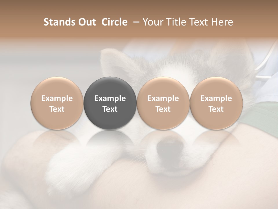 Detail Rate Health PowerPoint Template