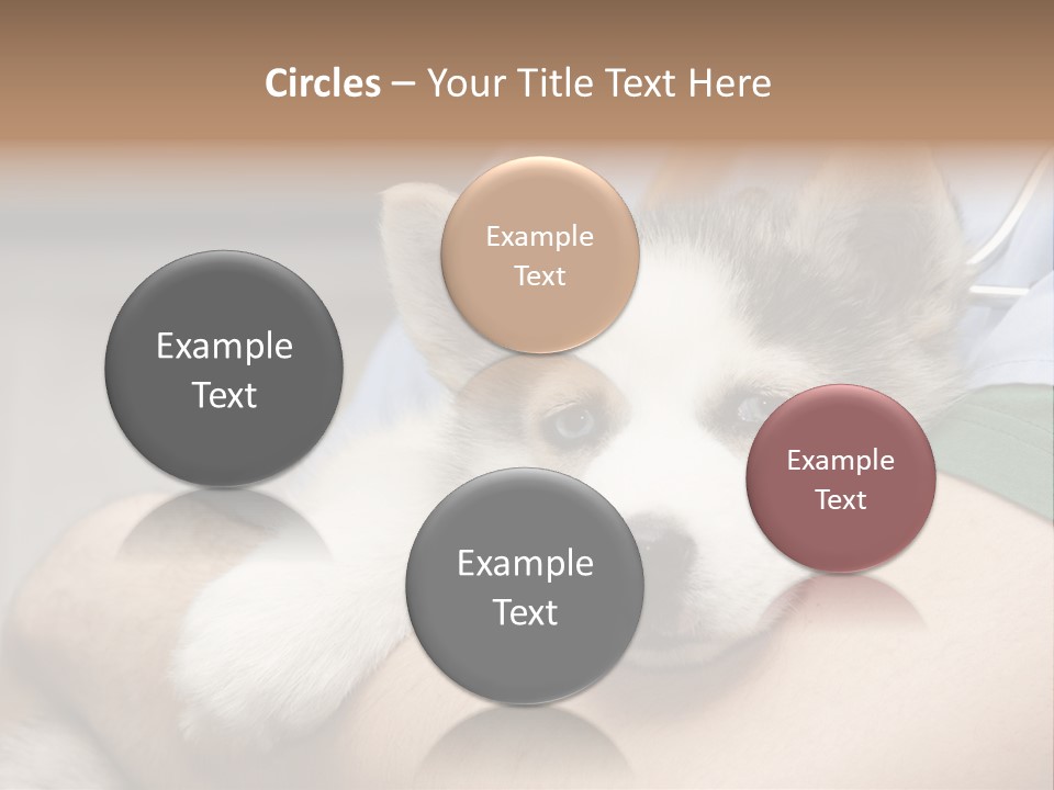 Detail Rate Health PowerPoint Template