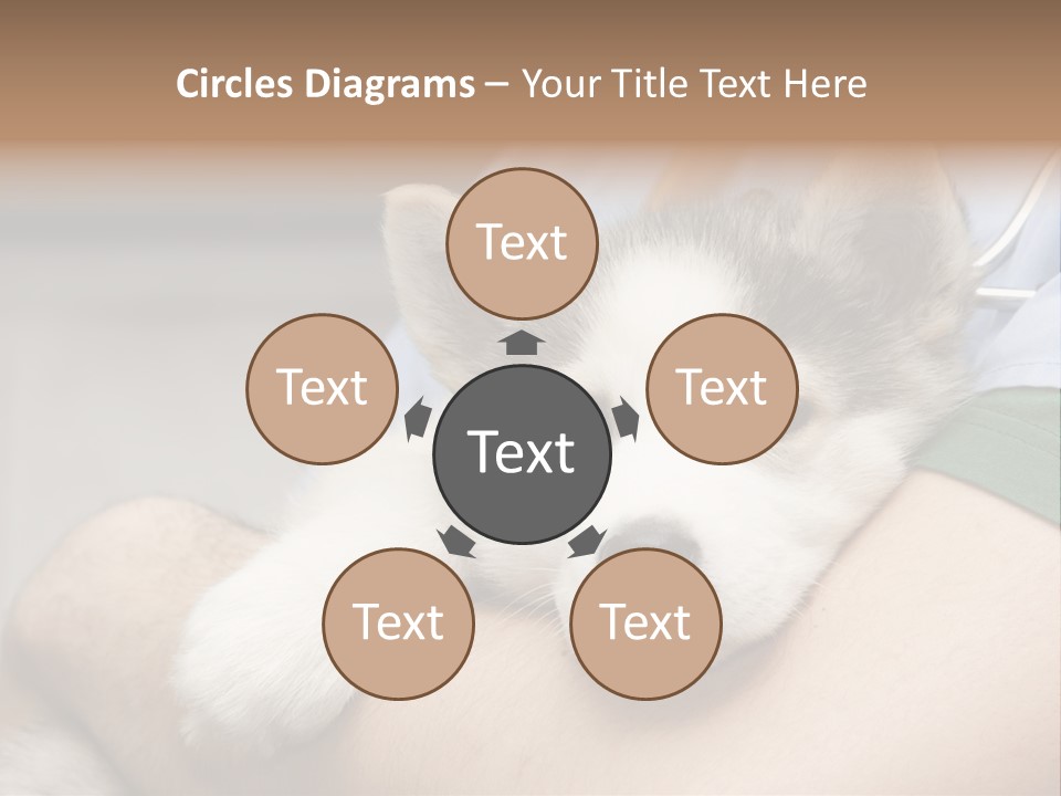 Detail Rate Health PowerPoint Template