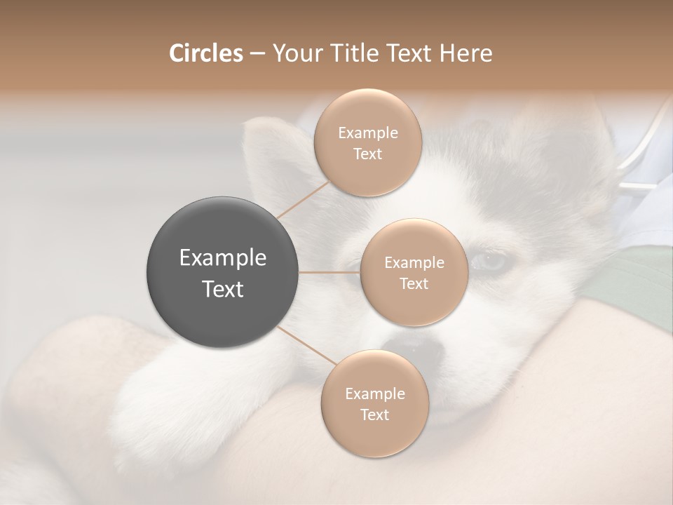 Detail Rate Health PowerPoint Template