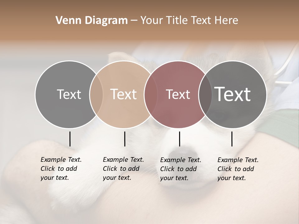 Detail Rate Health PowerPoint Template