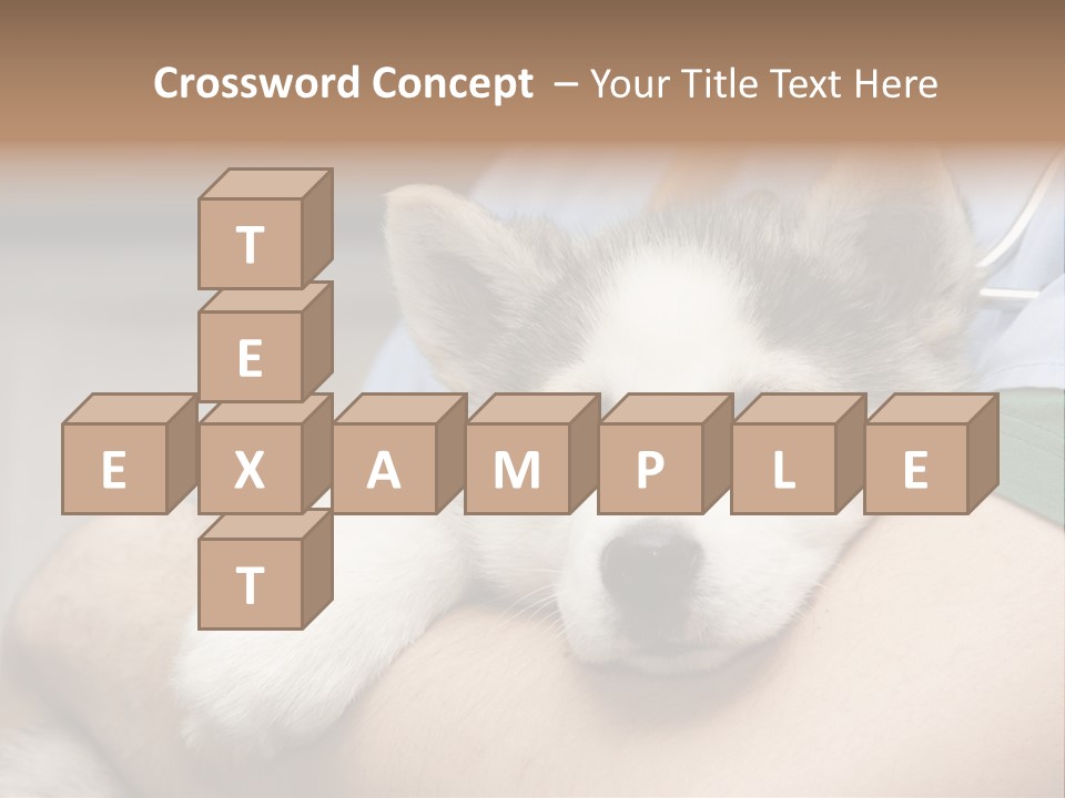 Detail Rate Health PowerPoint Template