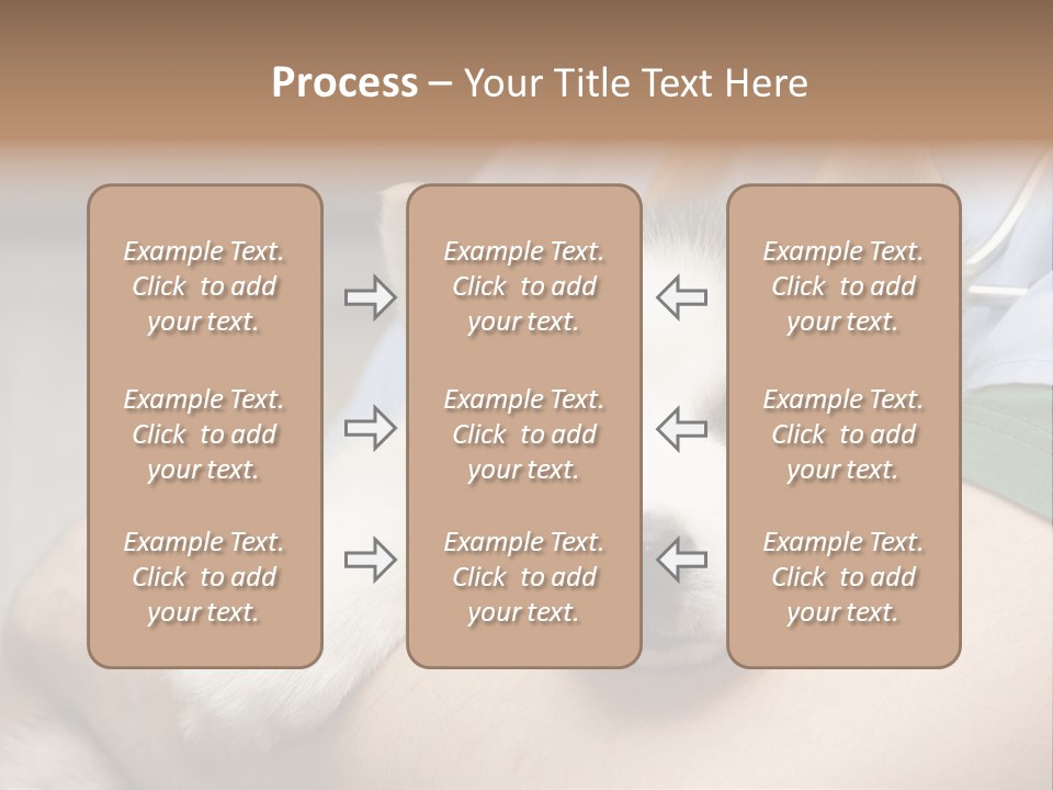 Detail Rate Health PowerPoint Template
