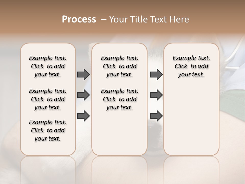 Detail Rate Health PowerPoint Template