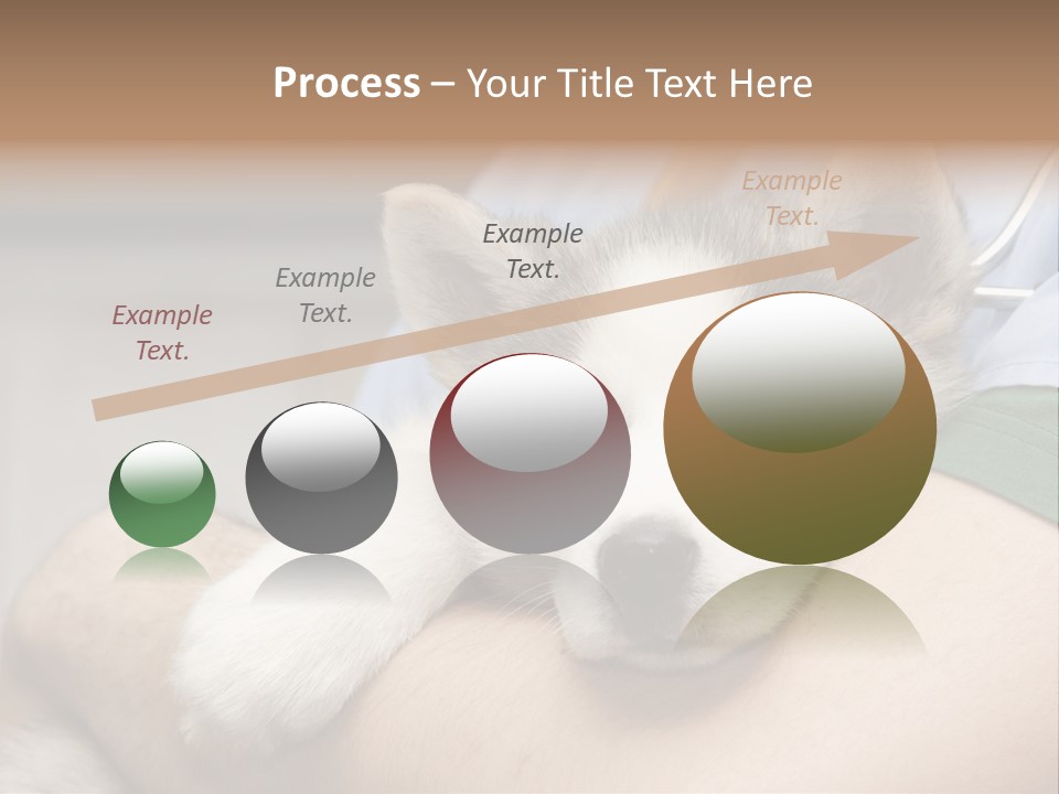 Detail Rate Health PowerPoint Template