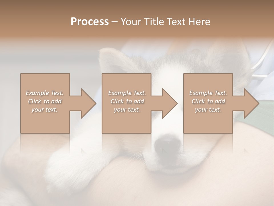 Detail Rate Health PowerPoint Template