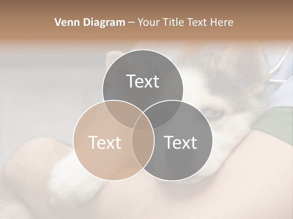 Detail Rate Health PowerPoint Template