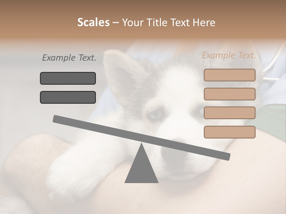 Detail Rate Health PowerPoint Template