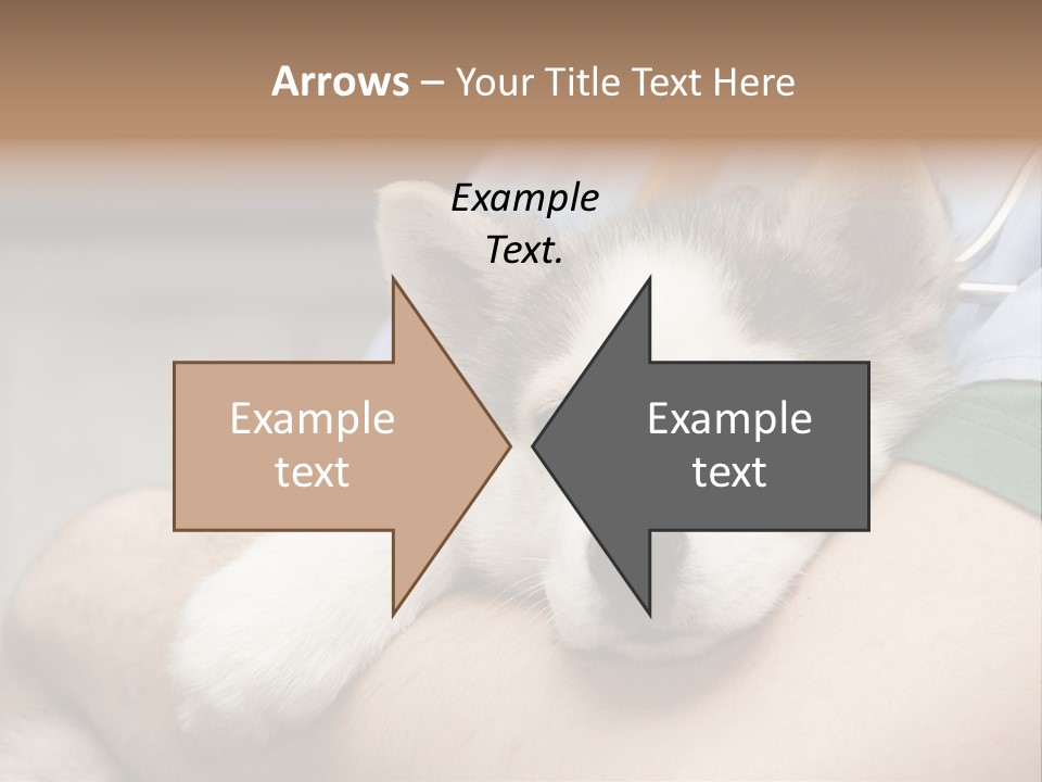 Detail Rate Health PowerPoint Template