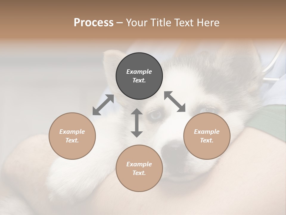 Detail Rate Health PowerPoint Template