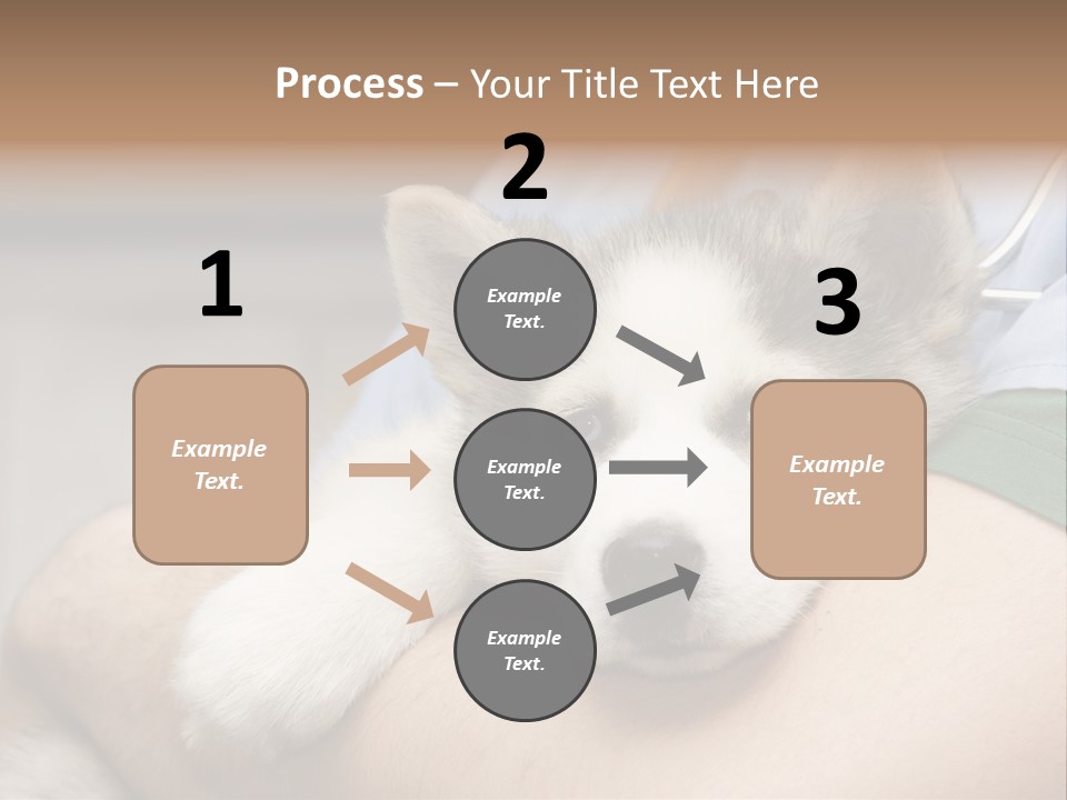 Detail Rate Health PowerPoint Template