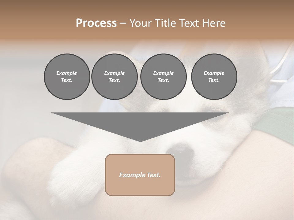 Detail Rate Health PowerPoint Template