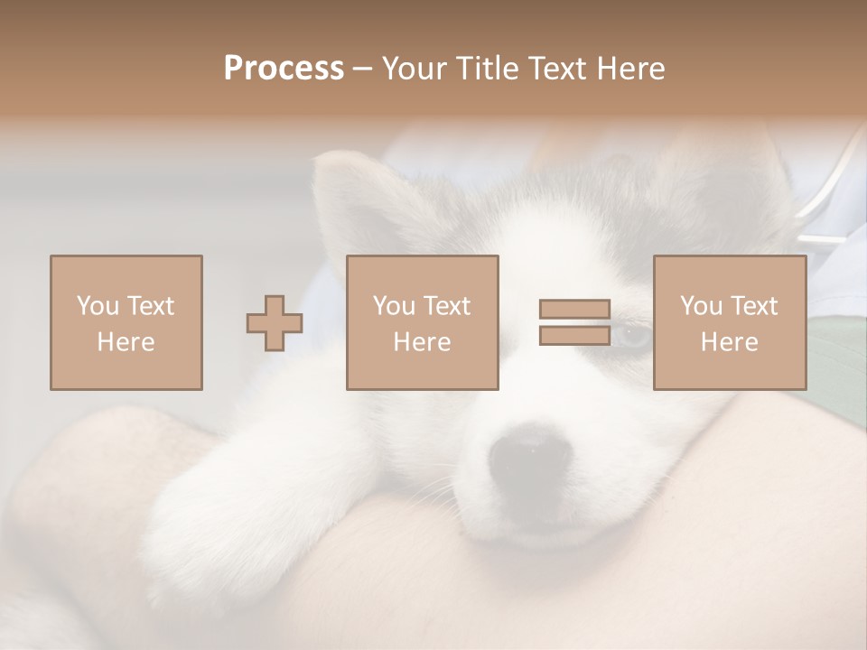 Detail Rate Health PowerPoint Template