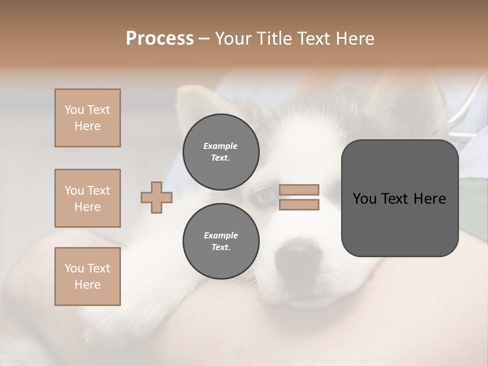 Detail Rate Health PowerPoint Template
