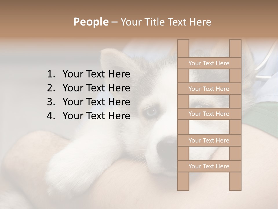 Detail Rate Health PowerPoint Template