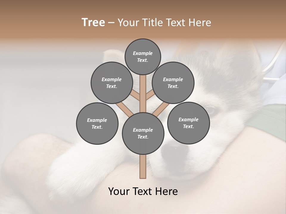 Detail Rate Health PowerPoint Template