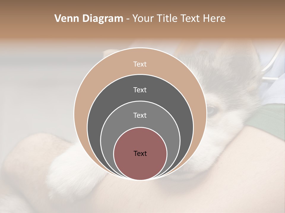 Detail Rate Health PowerPoint Template