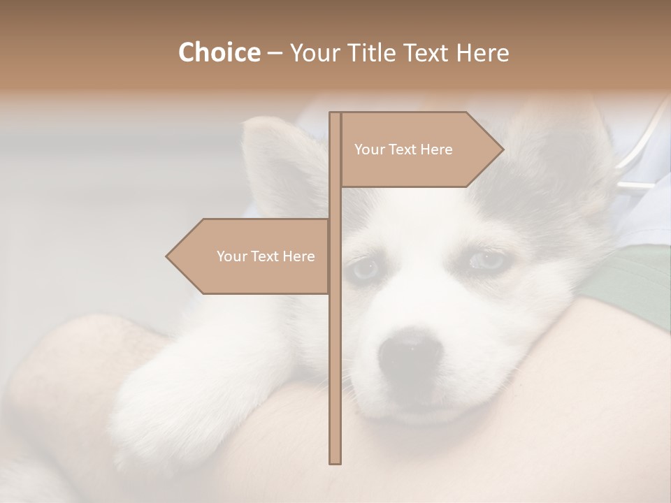 Detail Rate Health PowerPoint Template