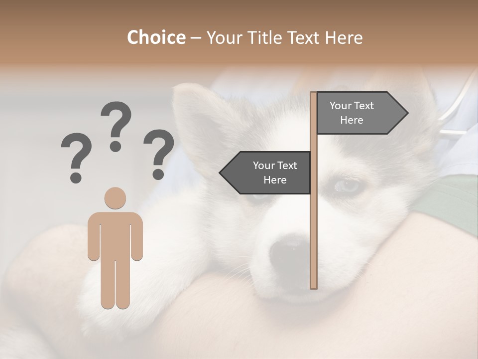 Detail Rate Health PowerPoint Template