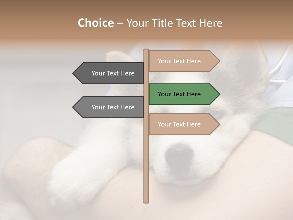 Detail Rate Health PowerPoint Template