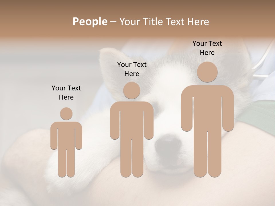 Detail Rate Health PowerPoint Template