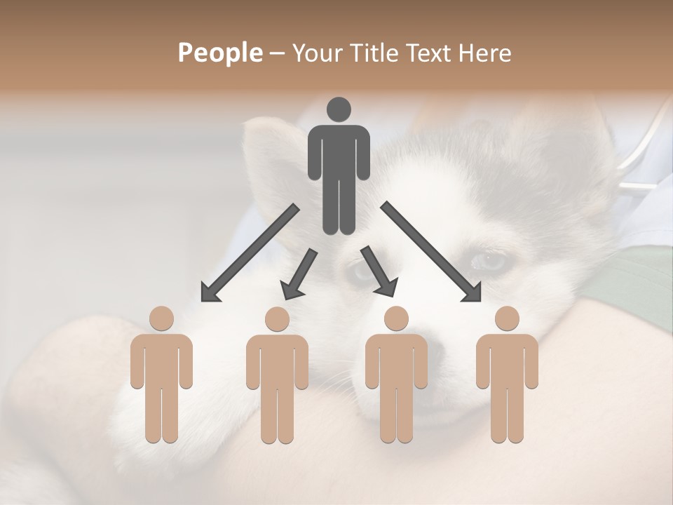 Detail Rate Health PowerPoint Template