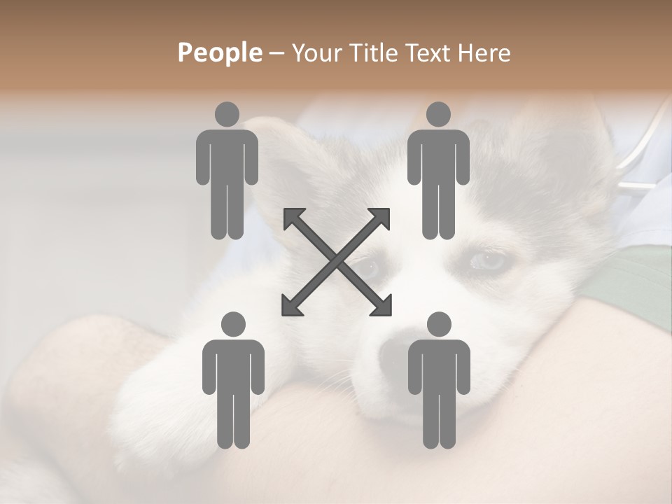 Detail Rate Health PowerPoint Template