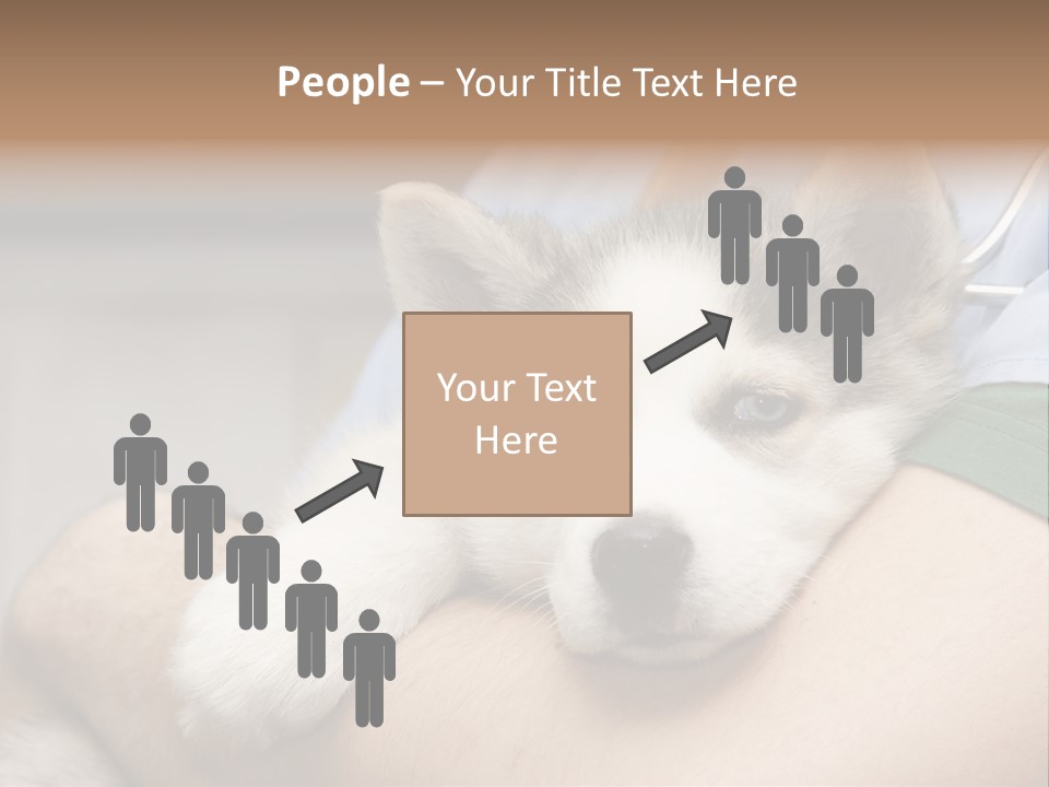 Detail Rate Health PowerPoint Template