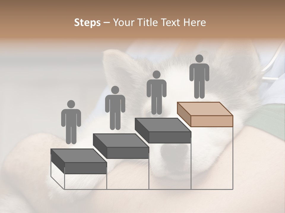 Detail Rate Health PowerPoint Template