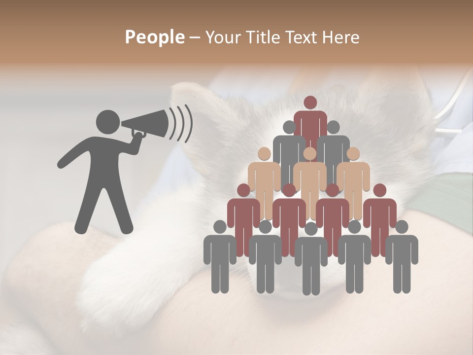 Detail Rate Health PowerPoint Template