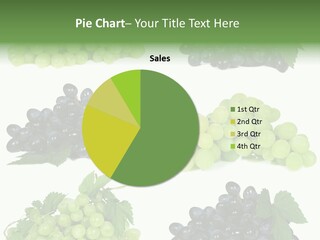 Sweet Blue Ripe PowerPoint Template