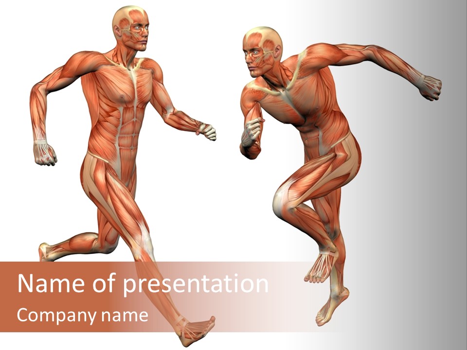 Ligament Power Strength PowerPoint Template