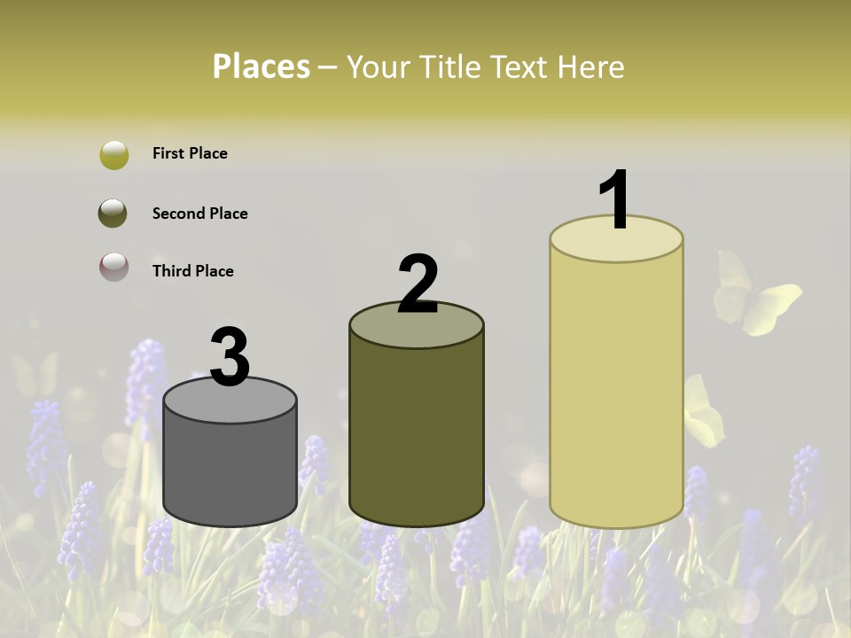 Bright Insect Close Up PowerPoint Template