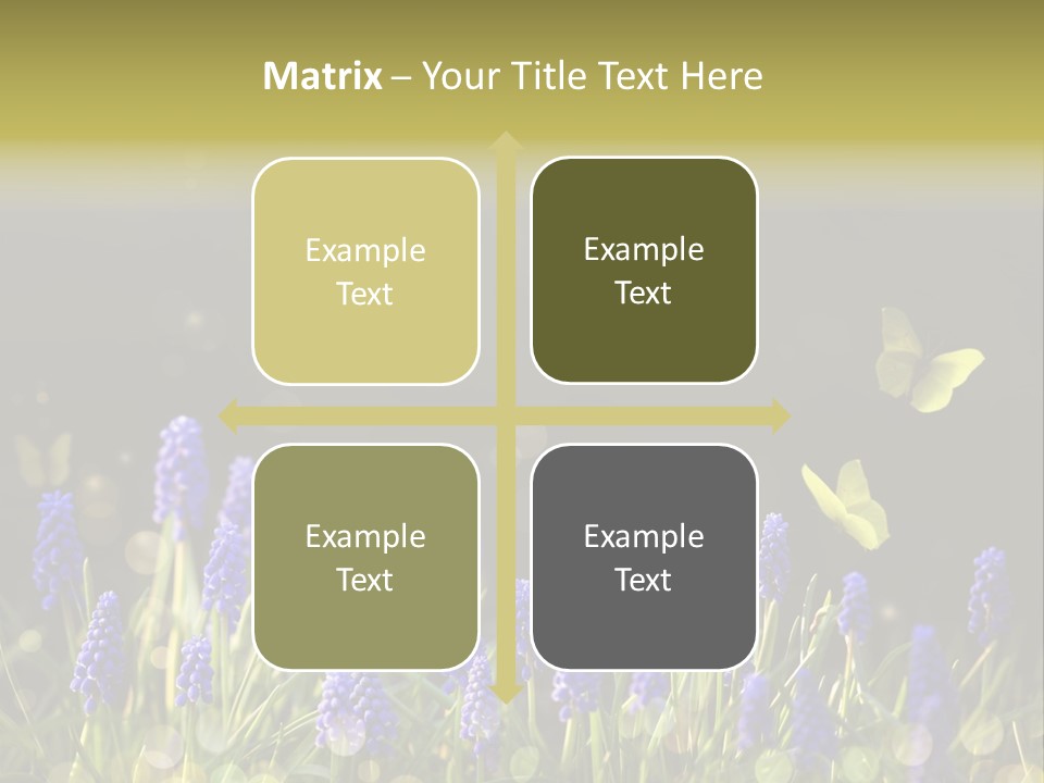 Bright Insect Close Up PowerPoint Template