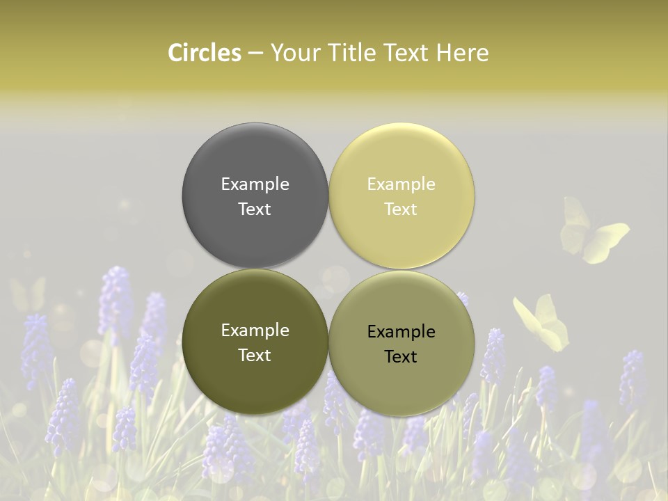 Bright Insect Close Up PowerPoint Template