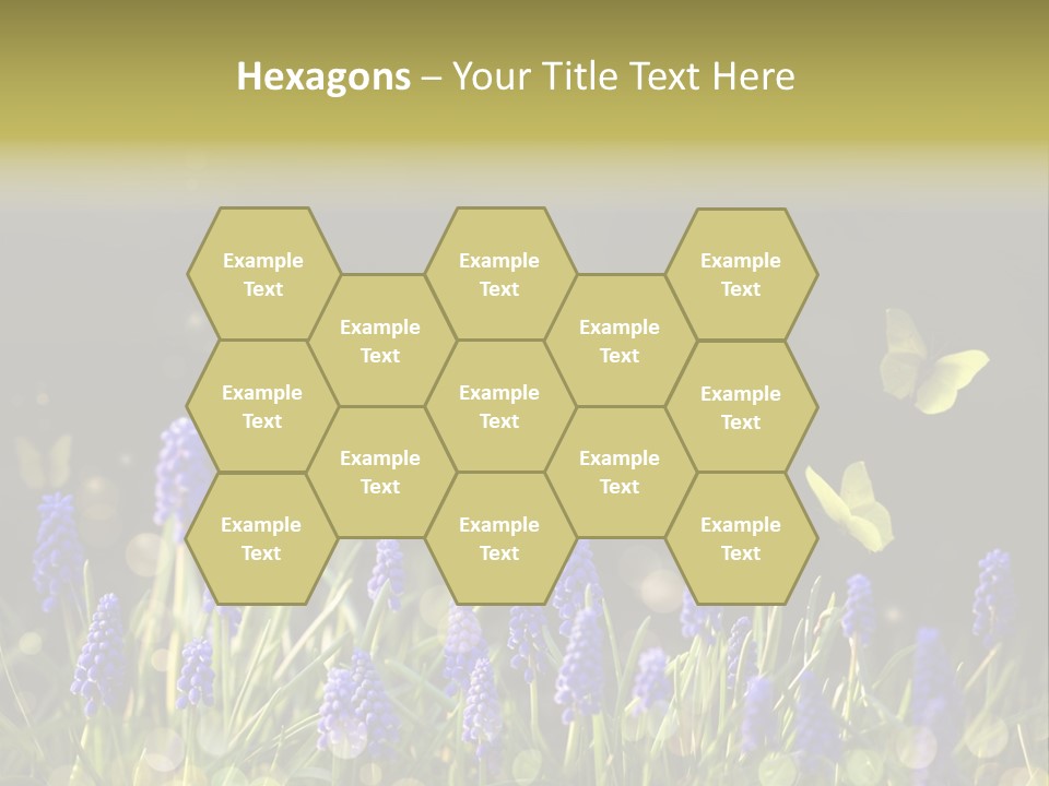 Bright Insect Close Up PowerPoint Template