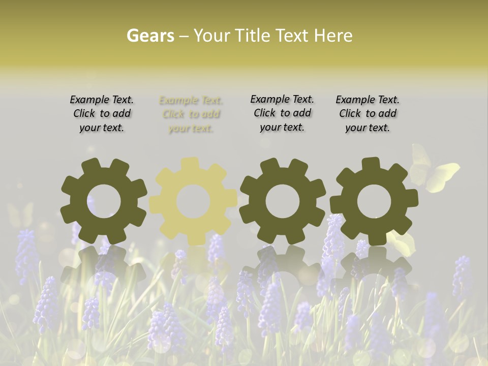 Bright Insect Close Up PowerPoint Template