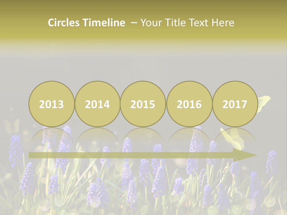 Bright Insect Close Up PowerPoint Template