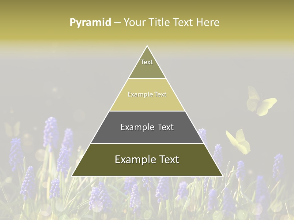 Bright Insect Close Up PowerPoint Template