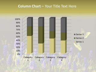 Bright Insect Close Up PowerPoint Template