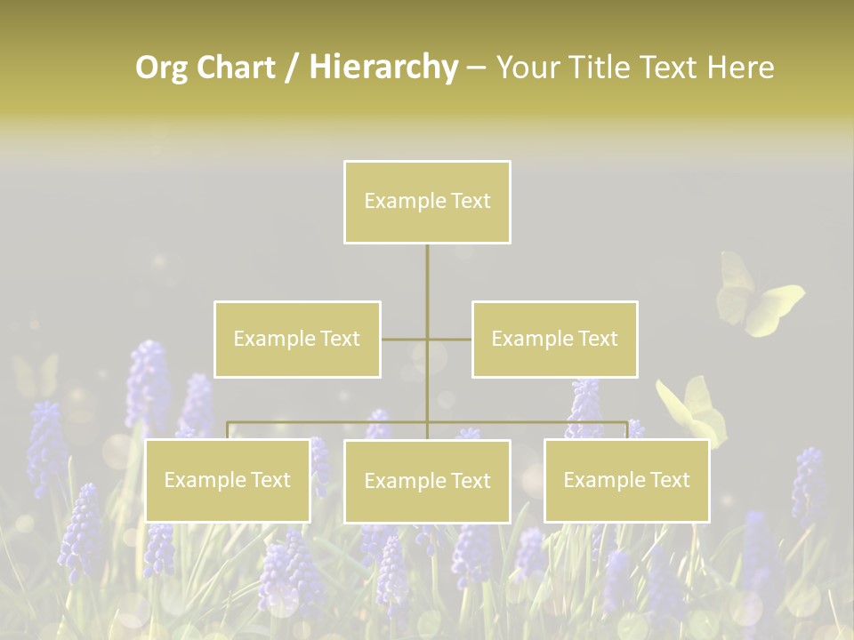 Bright Insect Close Up PowerPoint Template