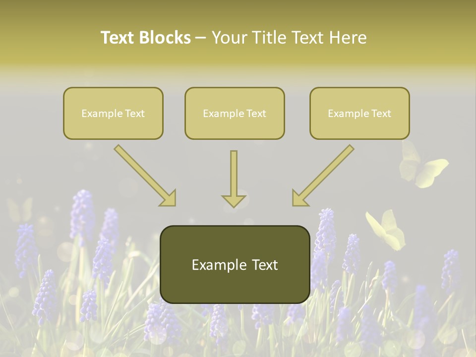 Bright Insect Close Up PowerPoint Template