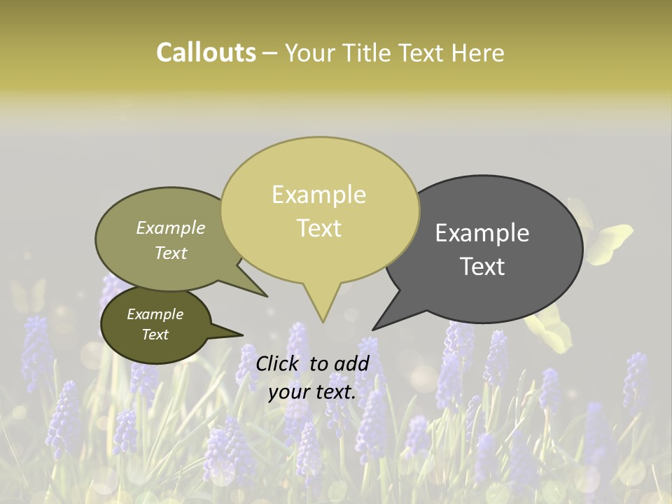 Bright Insect Close Up PowerPoint Template