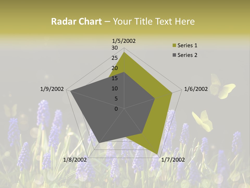 Bright Insect Close Up PowerPoint Template