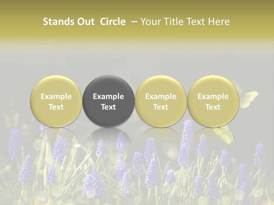 Bright Insect Close Up PowerPoint Template