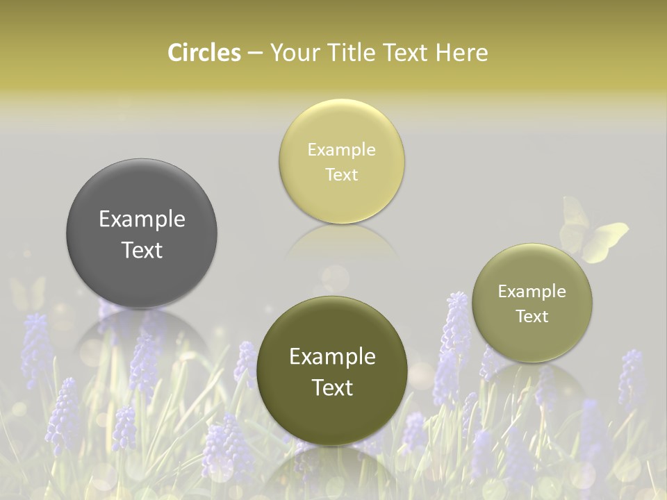 Bright Insect Close Up PowerPoint Template