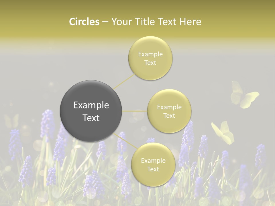 Bright Insect Close Up PowerPoint Template