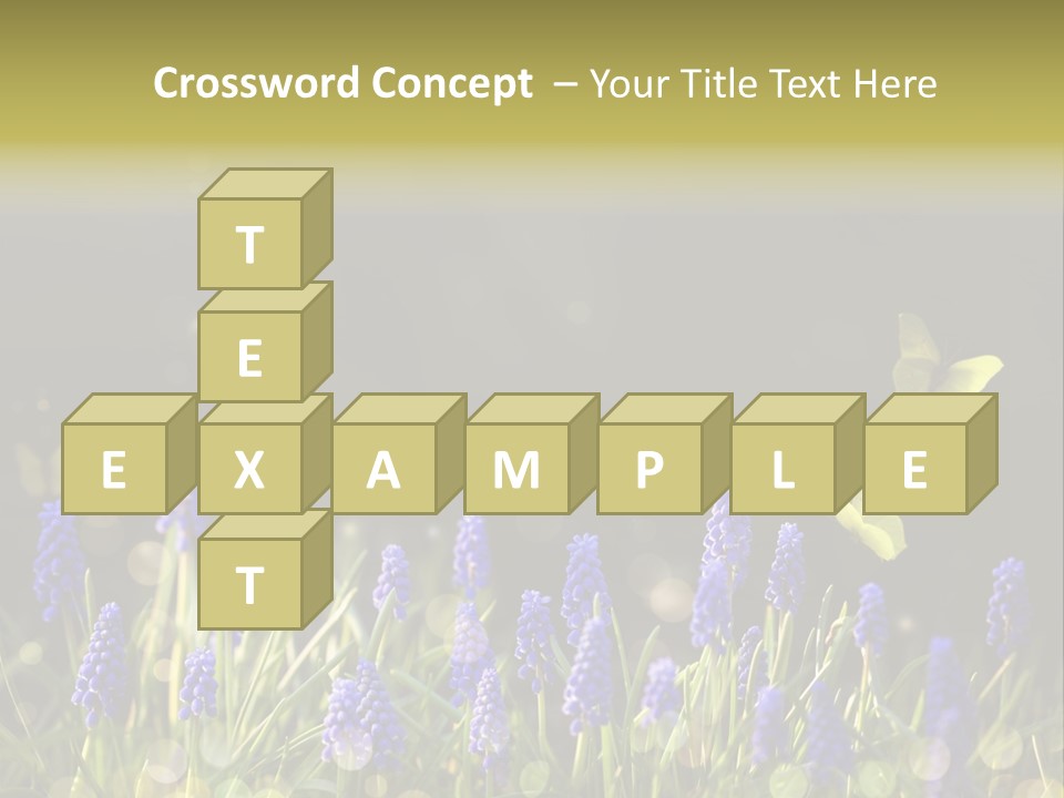 Bright Insect Close Up PowerPoint Template