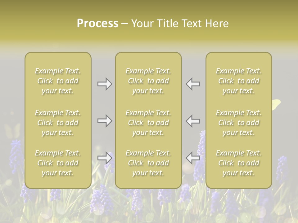 Bright Insect Close Up PowerPoint Template